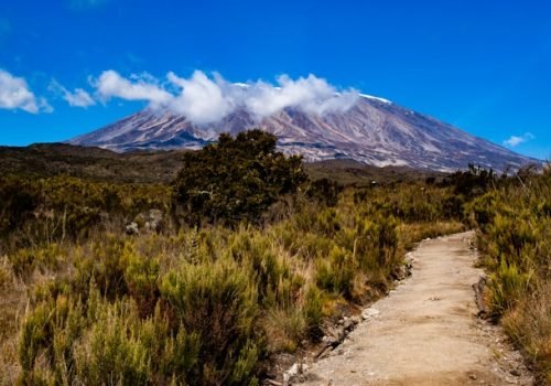 The Ultimate Kilimanjaro Climbing Guide (2026)