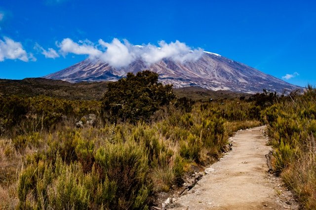 Best Time to Visit Tanzania