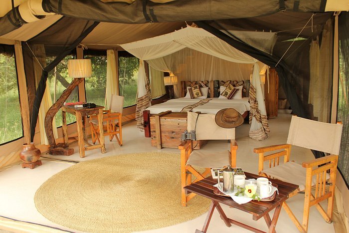 What to Take on a Safari?