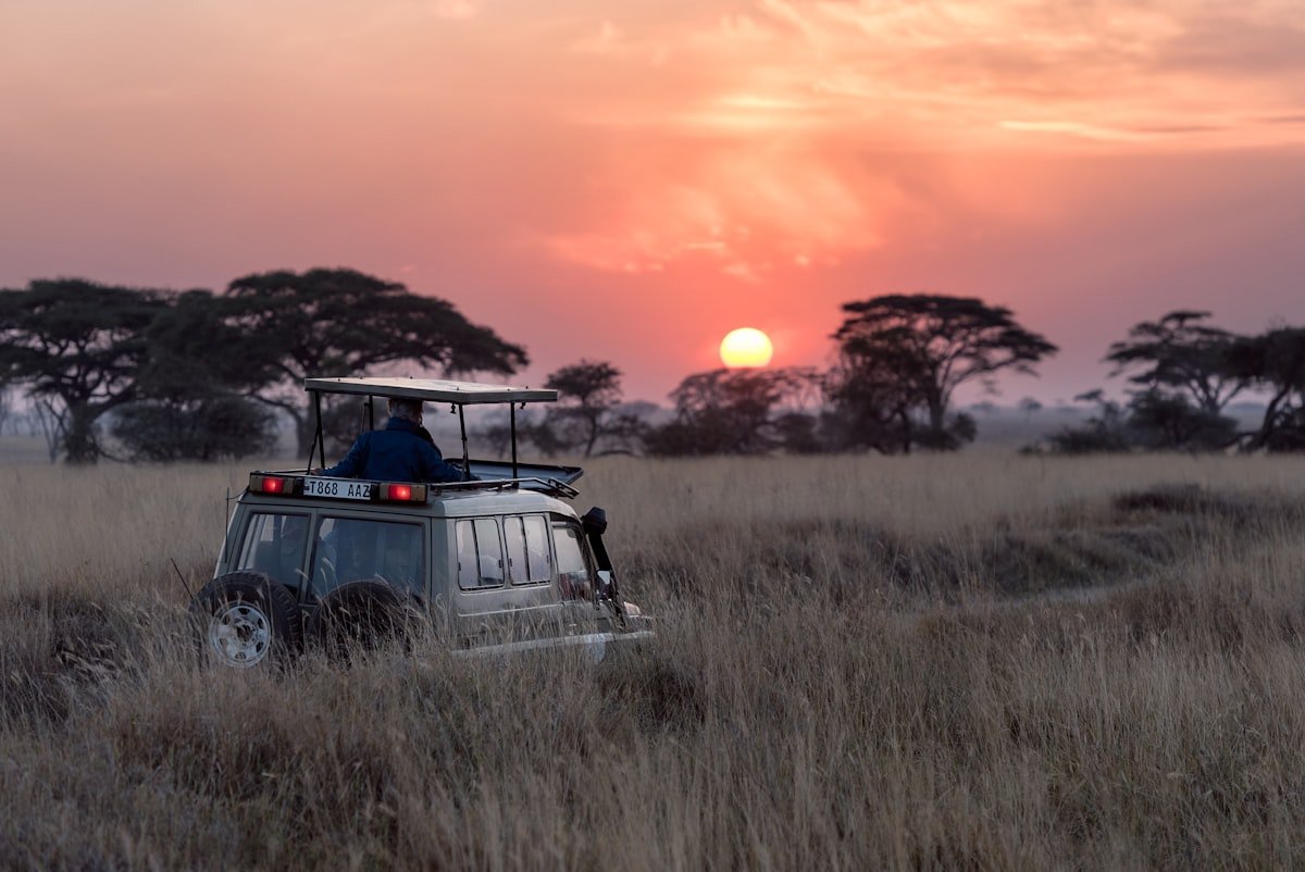 Best Time to Visit Tanzania for Safari & Kilimanjaro