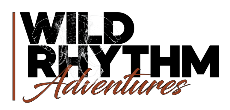 Wild Rhythm Adventures